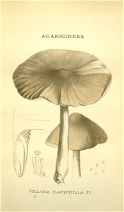 n165_w1150