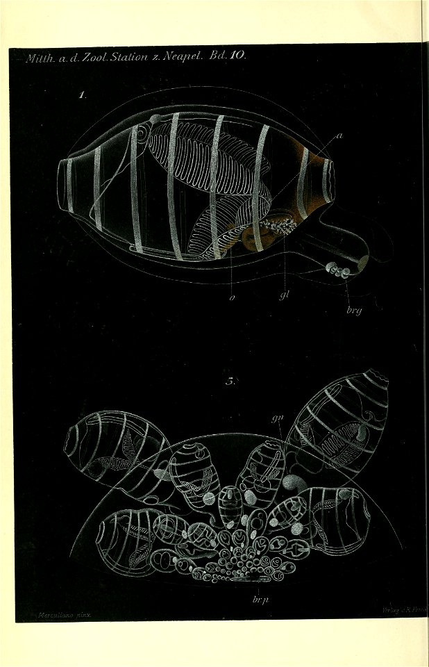 n37_w1150