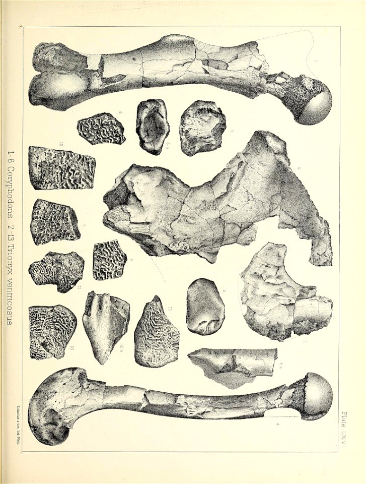 n568_w1150