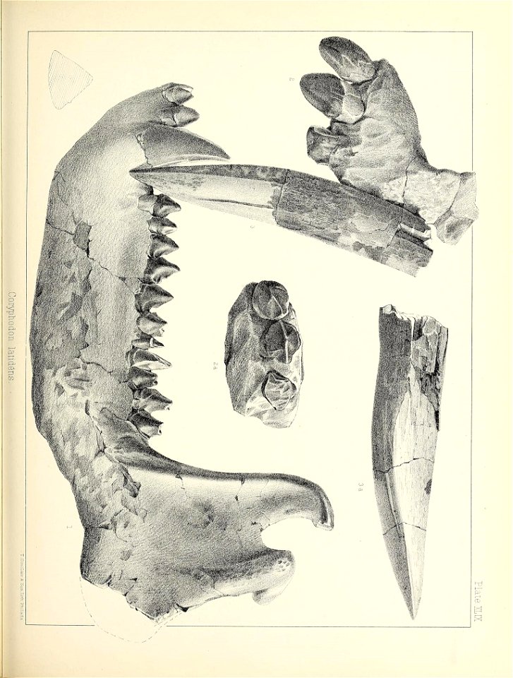 n508_w1150