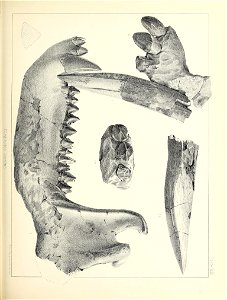 n508_w1150