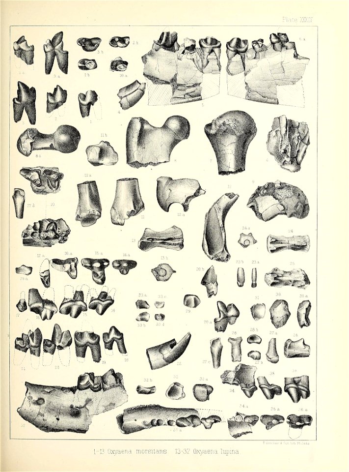 n448_w1150