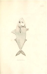 n408_w1150