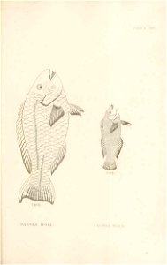 n378_w1150