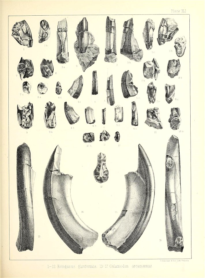 n476_w1150