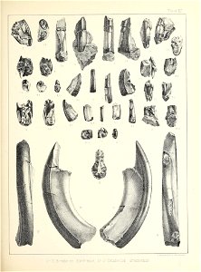 n476_w1150