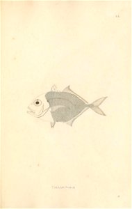 n436_w1150