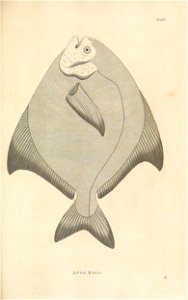 n164_w1150