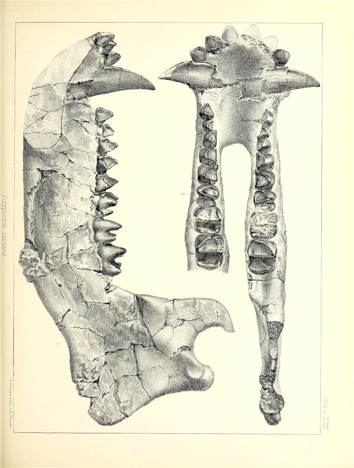 n504_w1150