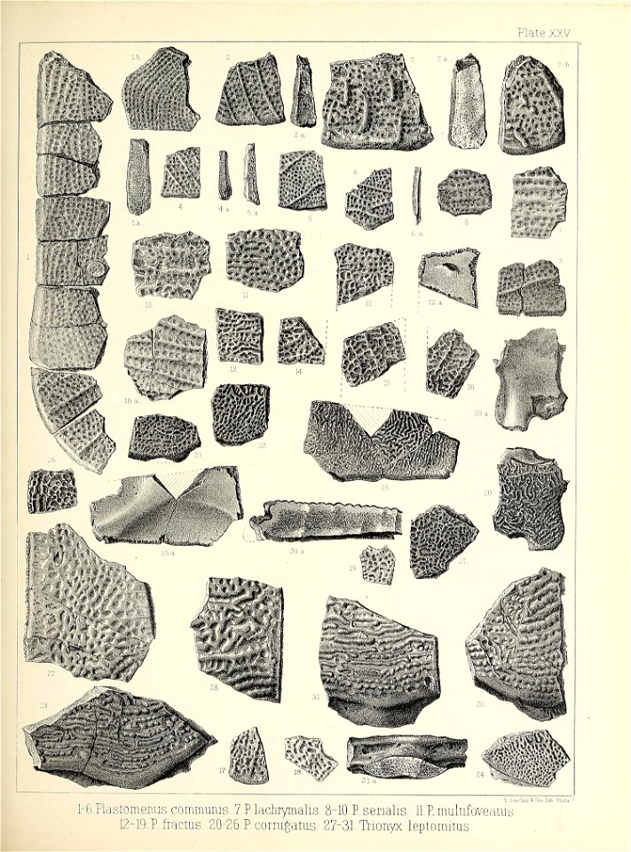 n412_w1150