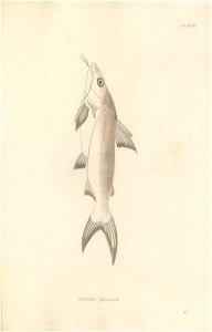 n464_w1150
