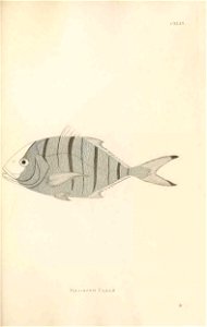 n434_w1150