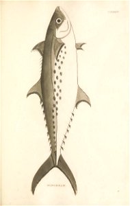 n404_w1150