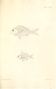 n192_w1150