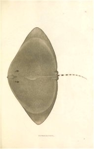 n102_w1150