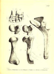 n232_w1150