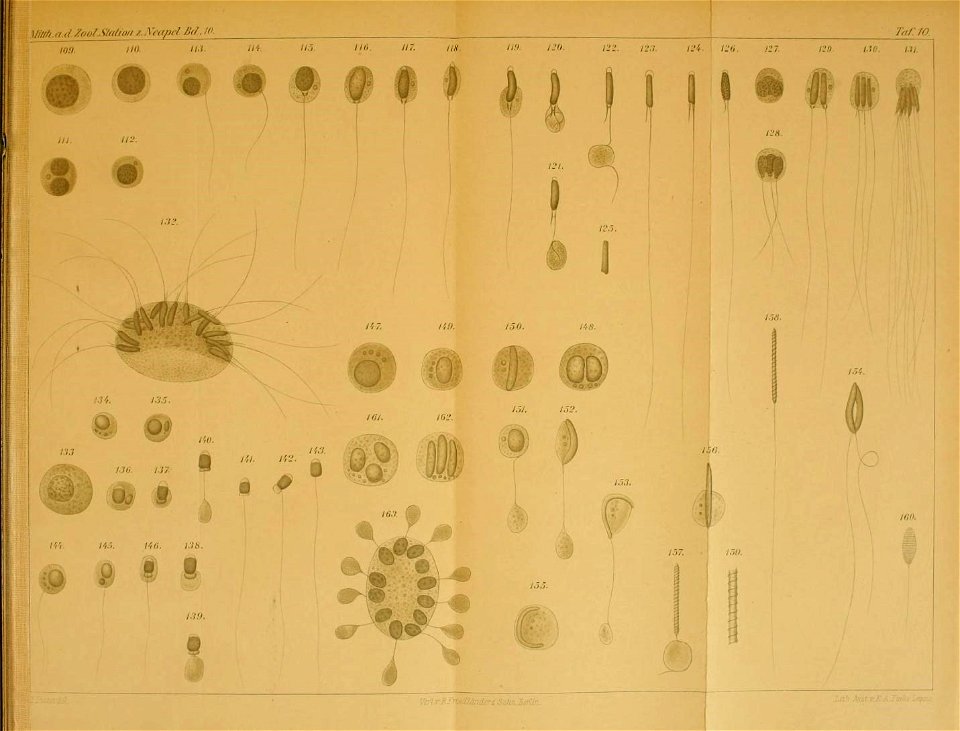 n32_w1150