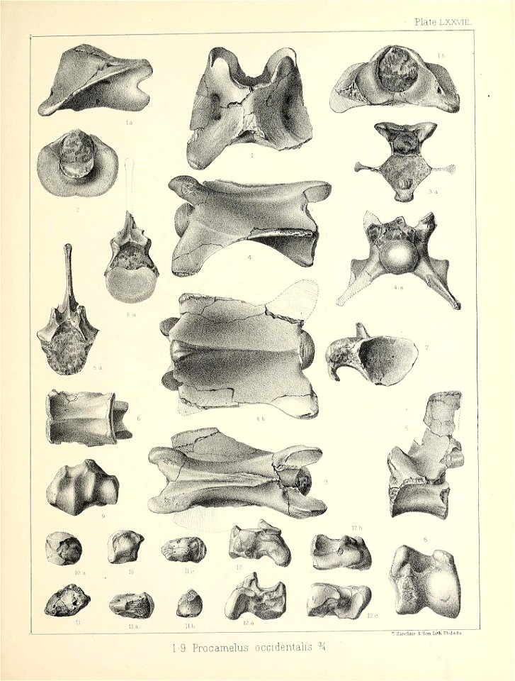 n628_w1150
