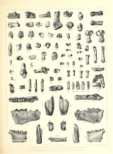 n472_w1150