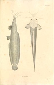 n462_w1150