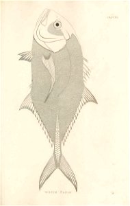 n432_w1150