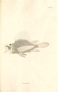 n402_w1150