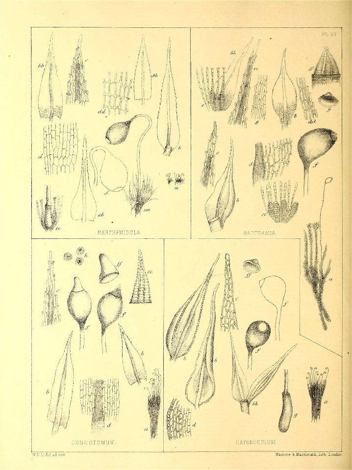 n63_w1150