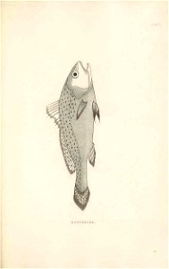 n372_w1150