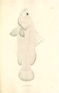 n398_w1150