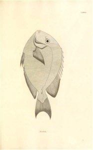 n216_w1150