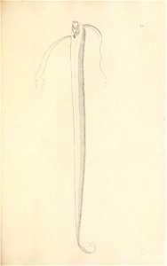 n156_w1150