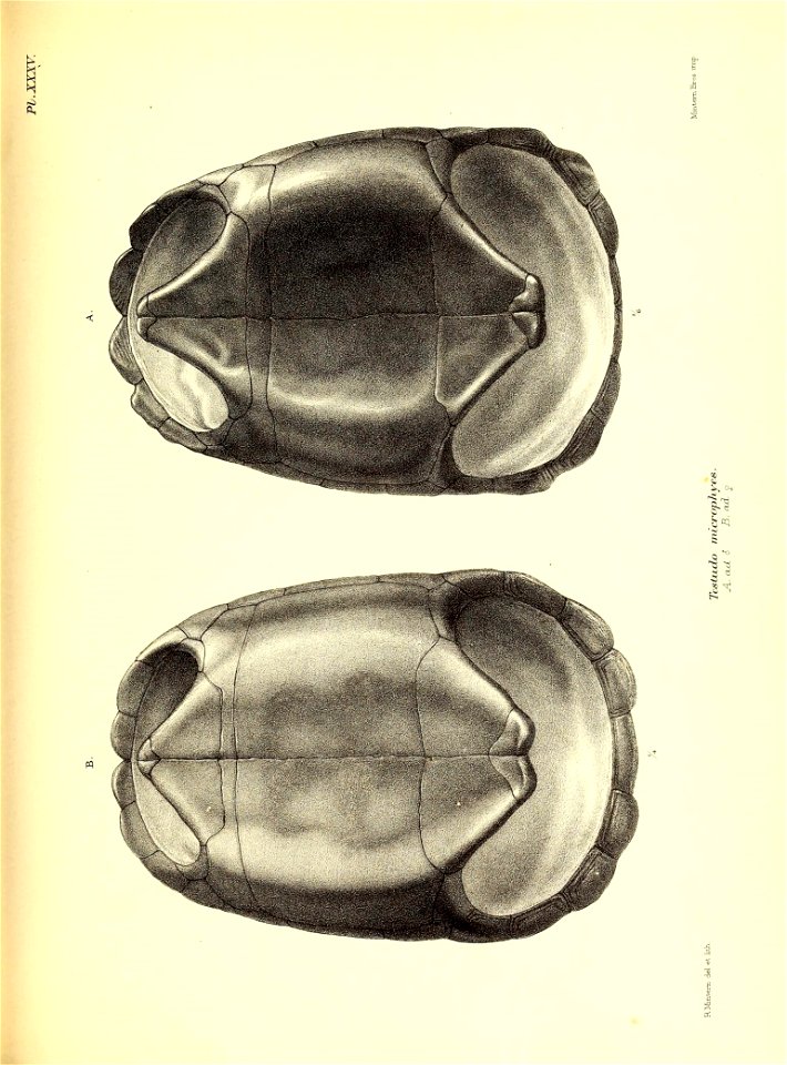 n196_w1150