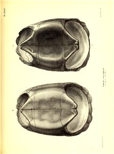 n196_w1150