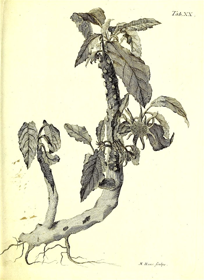 n116_w1150