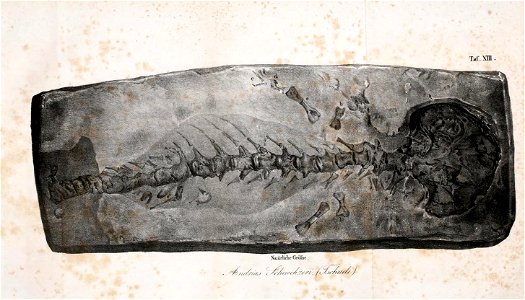 n358_w1150
