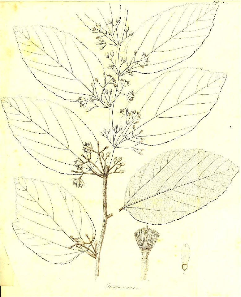 n352_w1150