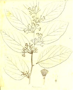 n352_w1150