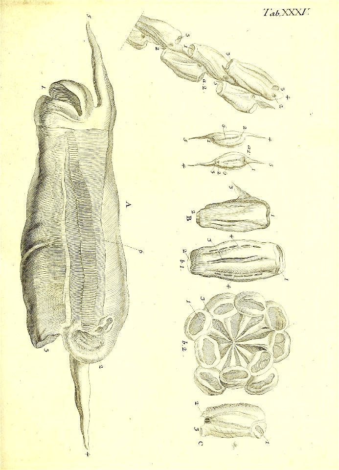 n176_w1150