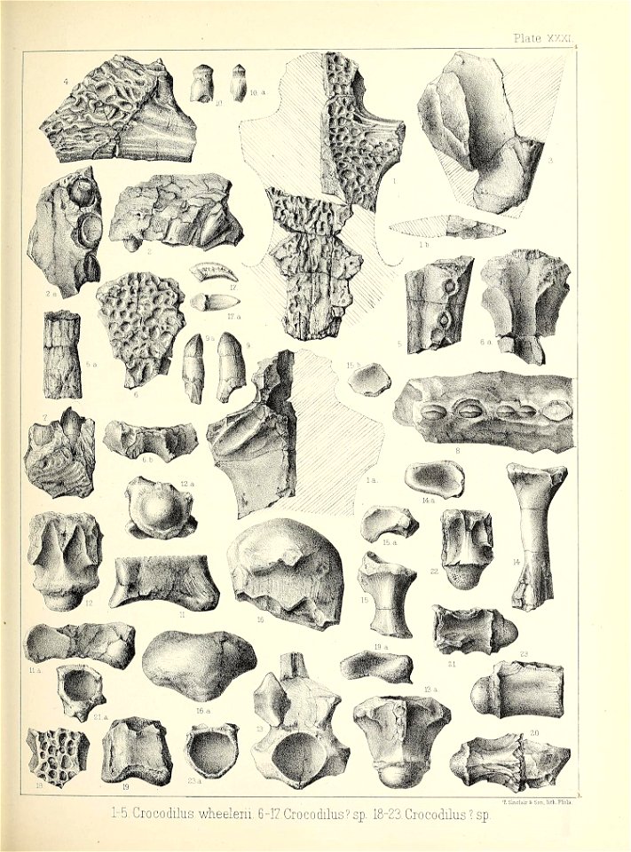 n436_w1150