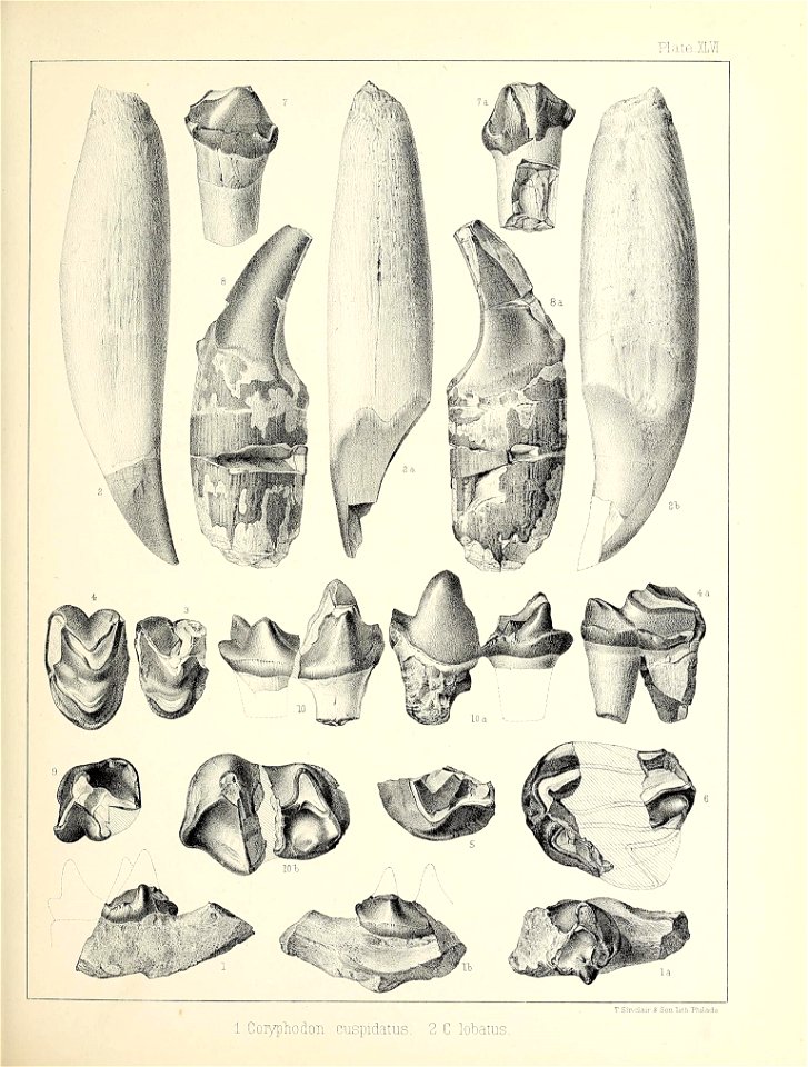 n496_w1150