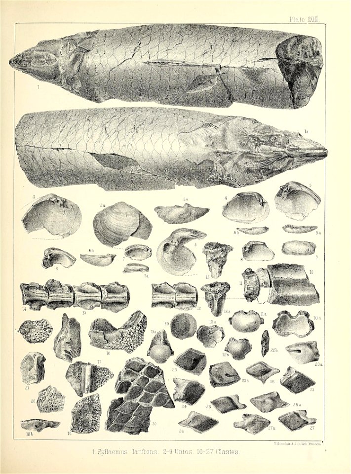 n404_w1150