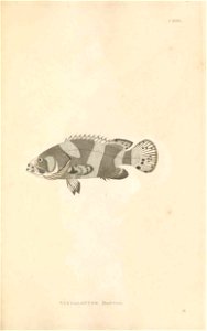 n396_w1150
