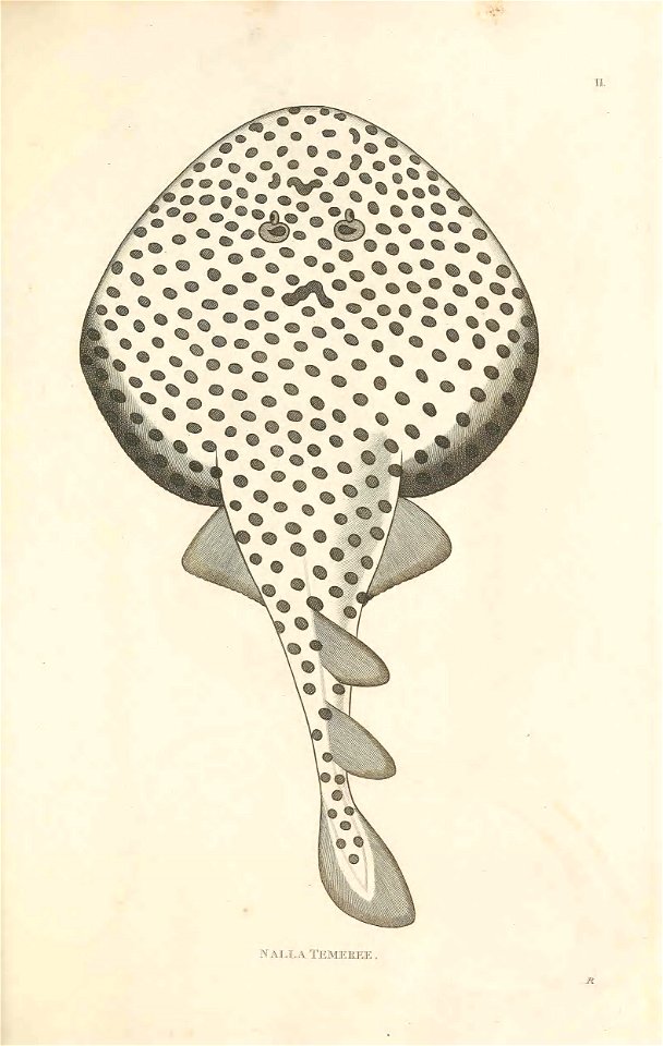 n94_w1150