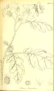 n202_w1150