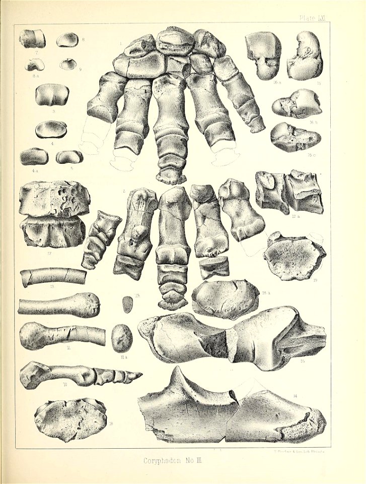 n556_w1150