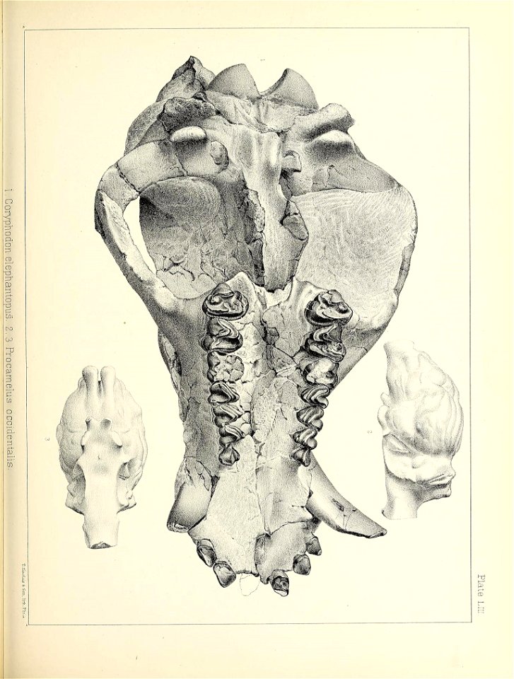 n524_w1150