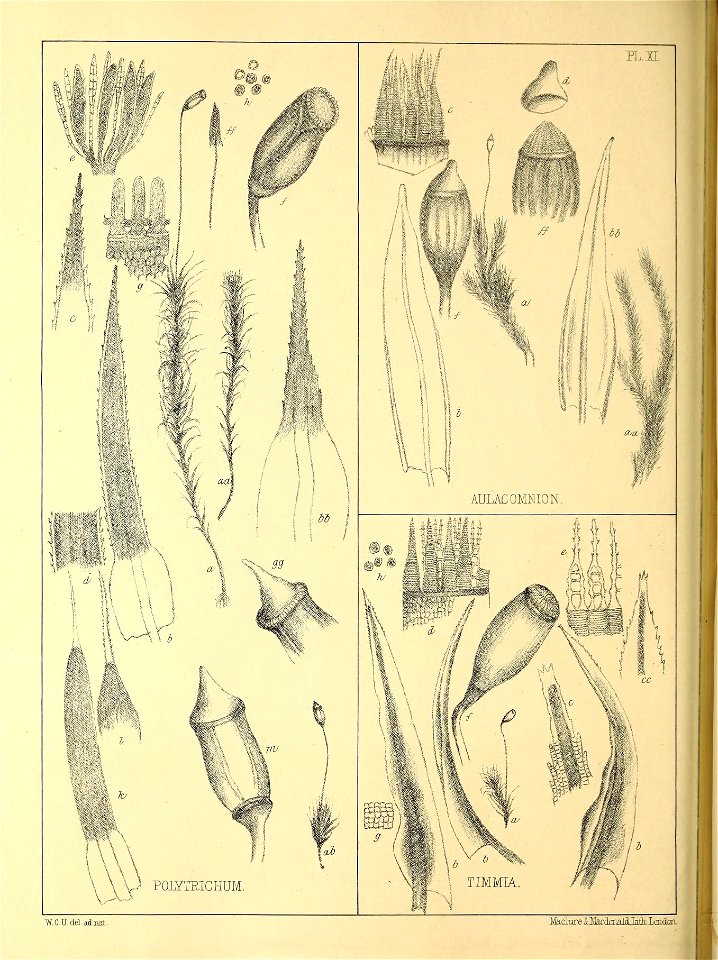 n51_w1150