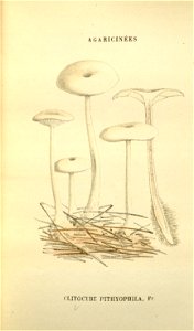 n139_w1150