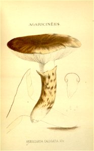 n34_w1150