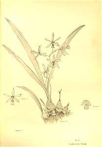 n173_w1150